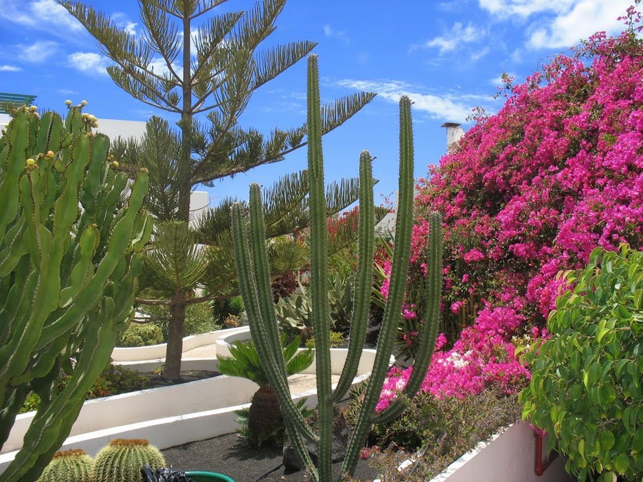 Apartamentos El Guarapo Costa Teguise Exteriör bild
